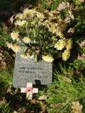 image of grave number 958743